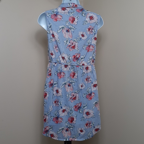 Blue Striped Floral Print Dress - Picture 3 of 4